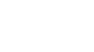 The Stish Group